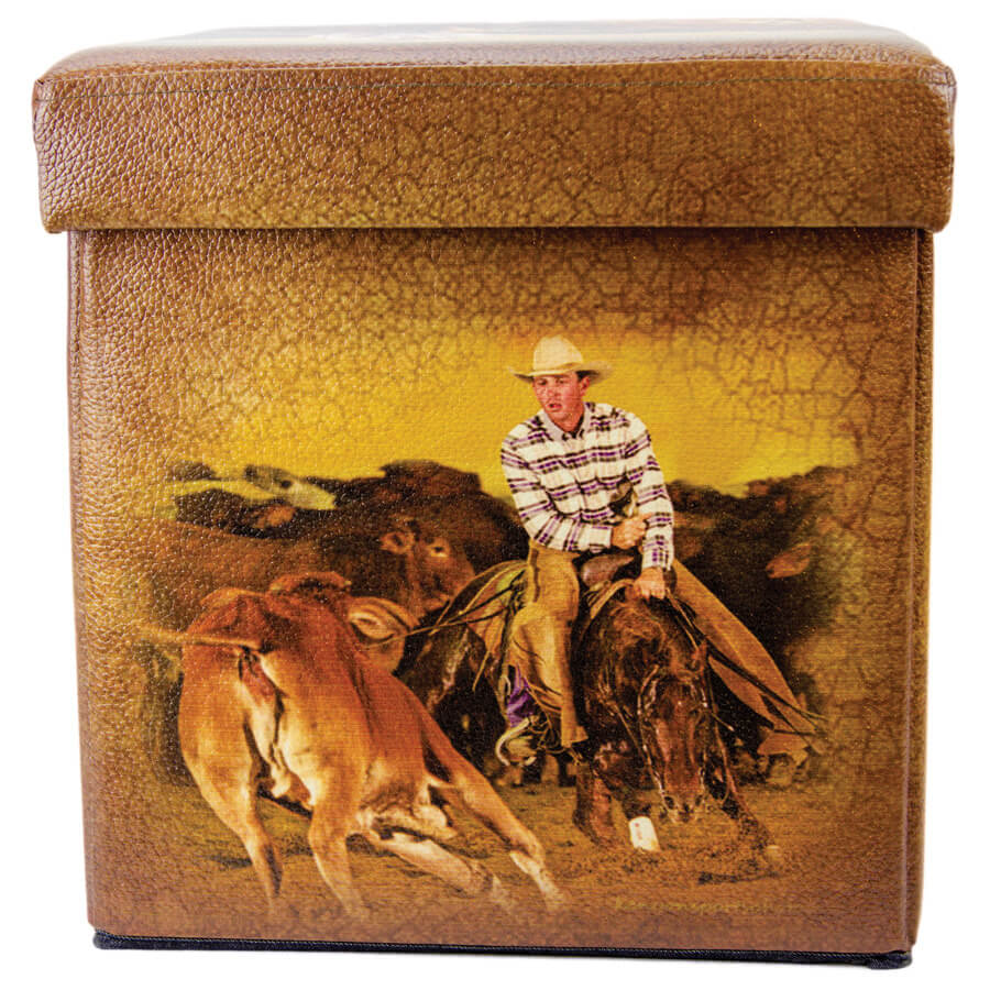Brigalow Collapsible Folding Trunk- Cutter